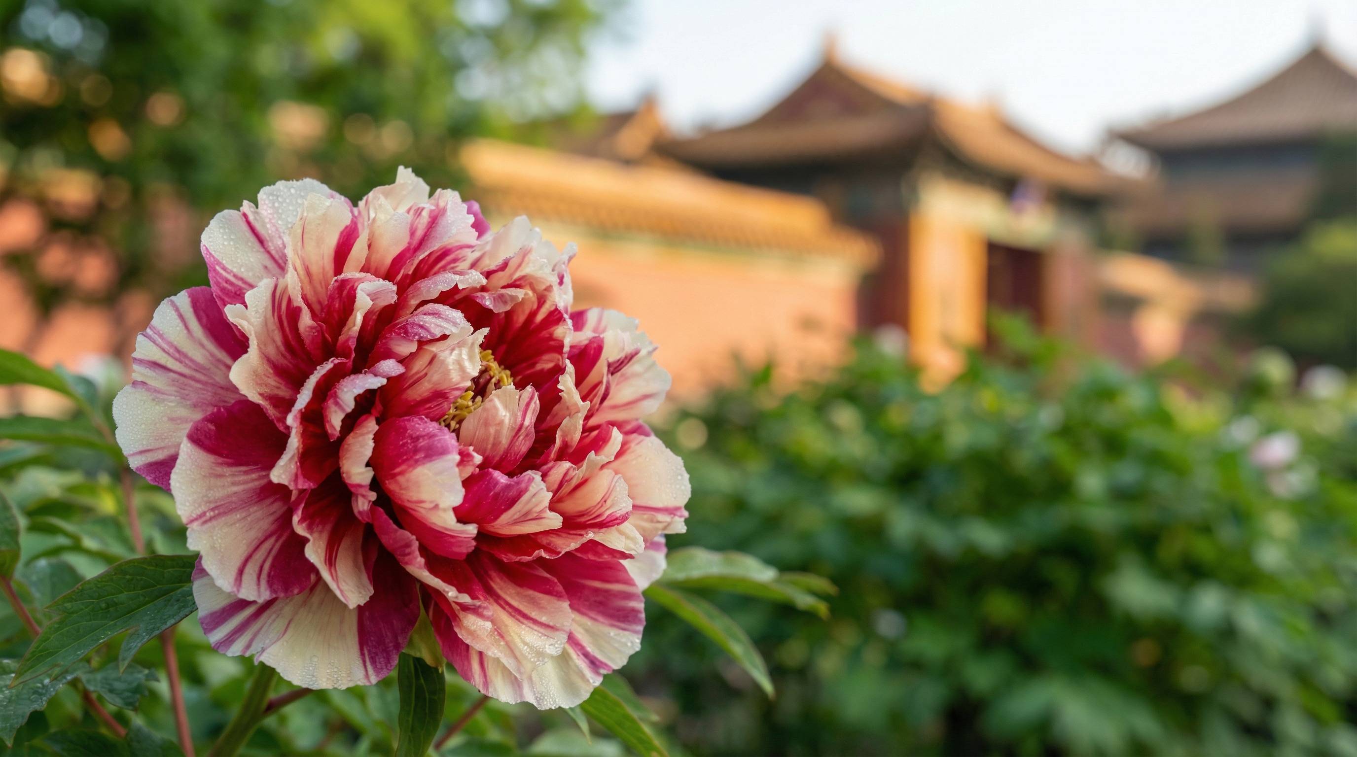 幼幼AI视频推荐